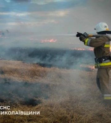 Протягом 5 та в ніч проти 6 липня на Миколаївщині вогнеборці ліквідували 38 пожеж
