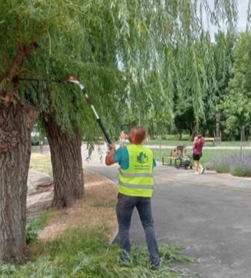 У Рівному тривають роботи з благоустрою та озеленення міста: де сьогодні працюють комунальники