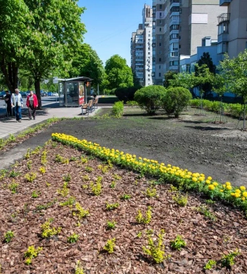 У Києві та області оголошено І рівень небезпечності