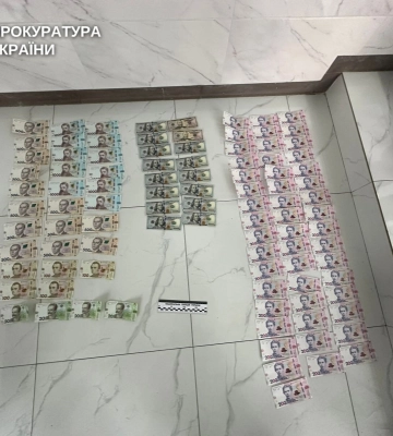 19-річну волинянку судитимуть за обман пенсіонерки на понад пів мільйона гривень