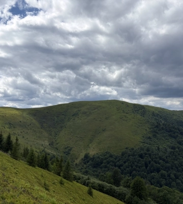 До 29° тепла та незначні дощі прогнозують на Закарпатті