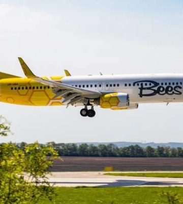 После потери самолетов: украинская авиакомпания Bees Airline объявила о банкротстве