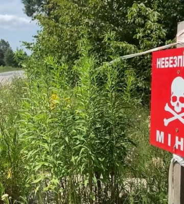 Прикордонні ліси Рівненщини: чим вони небезпечні та чому навіть за дикоросами туди зась (ВІДЕО)
