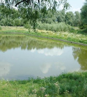 На Волині підприємець без дозволів поглибив ставок і викопав ще три водойми: суд виніс вирок