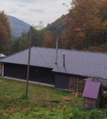 В Закарпатье ГБР разоблачило лесничего, который скрыл в декларации имущество на более чем 9,6 млн грн