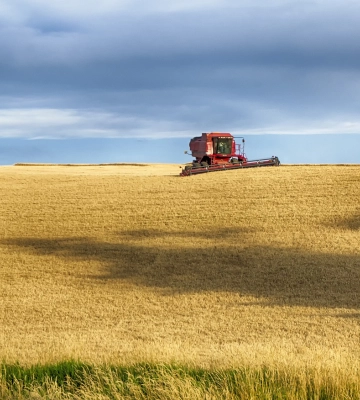 У червні Україна експортувала 4,8 млн тонн агропродукції