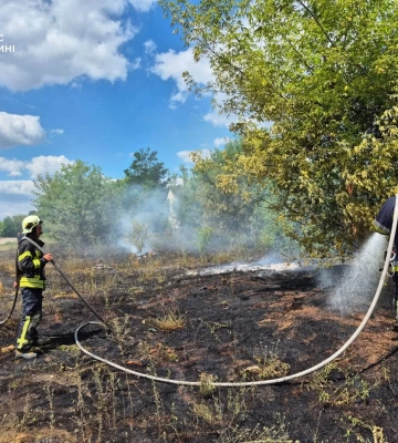 У Луцькому та Володимирському районах горіли суха трава й чагарники