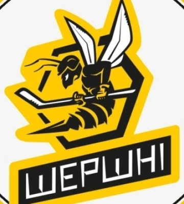 «Шершні» планують виступити у новому чемпіонаті України з хокею
