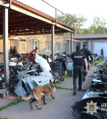 Закарпатські поліцейські затримали банду з 20 торговців наркотиками у трьох країнах