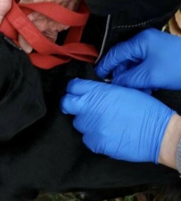 Захистіть свого улюбленця: у Львівській громаді стартує безкоштовна вакцинація від сказу