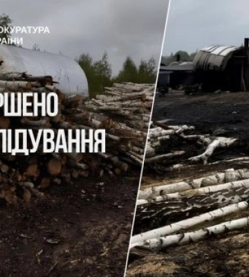 Судитимуть організаторів незаконного виробництва деревного вугілля на Житомирщині