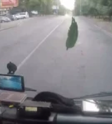 У Рівному рятувальники звільнили 15-річну дівчину з поштомату