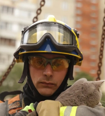 В Киеве спасли кота из поврежденной квартиры после нападения (фото/видео)