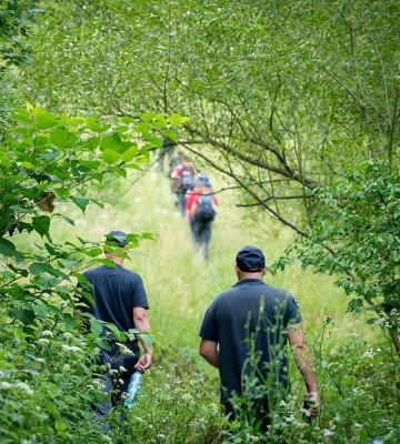 У лісі на Мукачівщині майже добу шукають 73-річного грибника