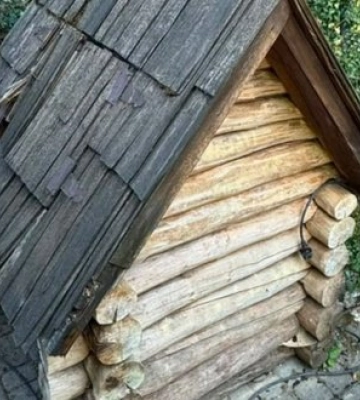 На Закарпатті 12 людей отруїлися після відпочинку в готелі. ФОТОрепортаж