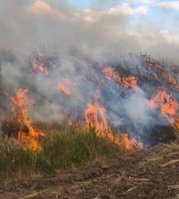 Ніч на Дніпропетровщині: під ударами РФ 5 районів, пошкоджено підприємства, АЗС, горіли поля з пшеницею. ФОТОрепортаж