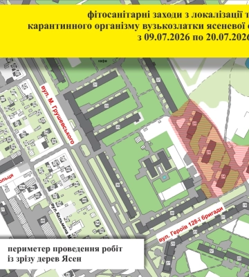 В Ужгороді планують зрізати ясені, які уразив небезпечний шкідник
