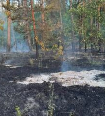 На Полтавщині горів ліс через російську атаку