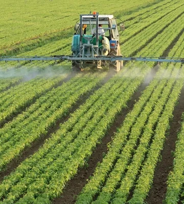 Біля порту "Південний" виставили на продаж великий агрокомплекс за $2,45 млн
