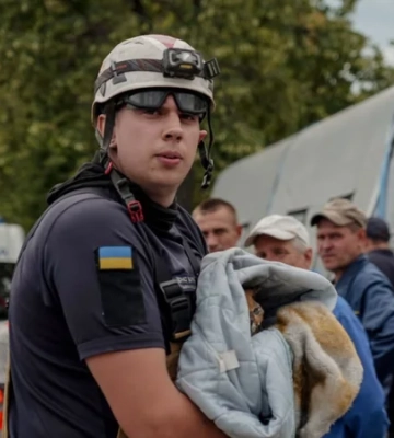 Обпеченого рудого кота врятували після вибухів у Вишневому