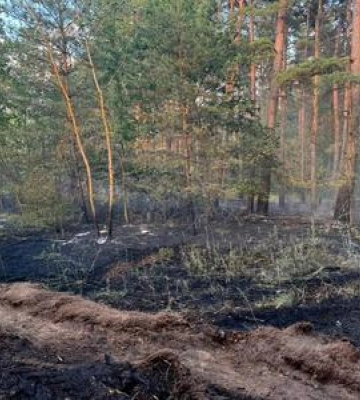 На Полтавщині через російський обстріл загорівся ліс