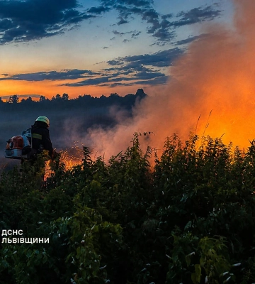 За добу на Львівщині вогнеборці ліквідували 29 пожеж та врятували від вогню 4 будівлі