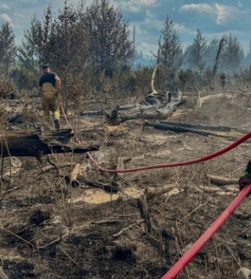 Масштабні пожежі в Чорнобильській зоні: що кажуть рятувальники