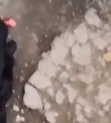 В Константиновке собаке сбросили с дрона колбасу — момент показали на видео