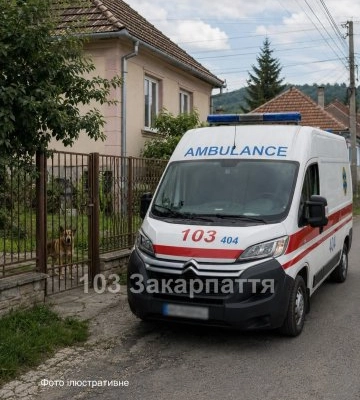Дитячий крик та рвані рани: на Закарпатті сусідський собака ледь не розірвав 9-річну дівчинку