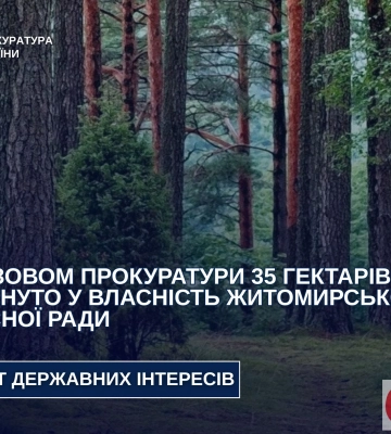 Приватне підприємство оформило лісові землі: суд на Житомирщині зобов’язав повернути понад 35 гектарів