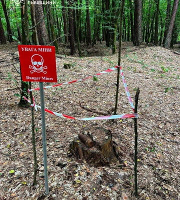 Під час прогулянки лісом на Львівщині знайшли артилерійський снаряд часів Другої світової війни