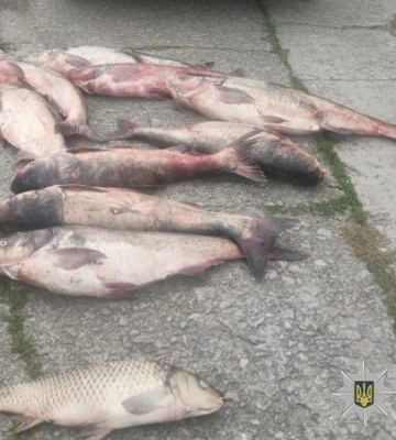 На Полтавщині викрили чоловіка, який перевозив майже 100 кілограмів незаконно виловленої риби