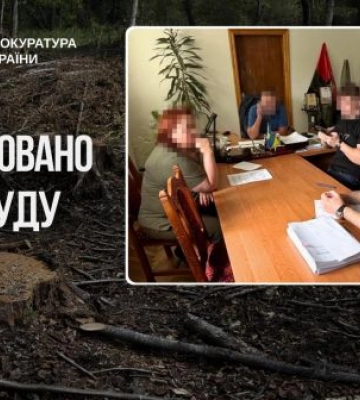 На Львівщині посадовців лісгоспу судитимуть за незаконну вирубку на 112 мільйонів гривень, - прокуратура