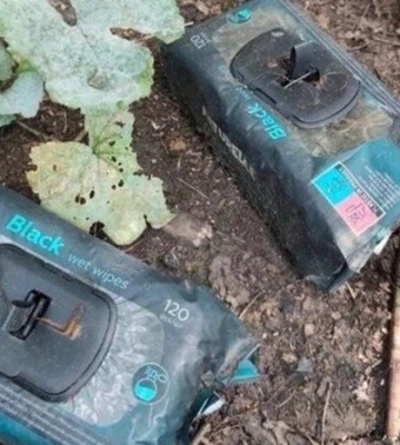 Вибухівка замість серветок. Влада Херсонщини попередила про новий винахід росіян
