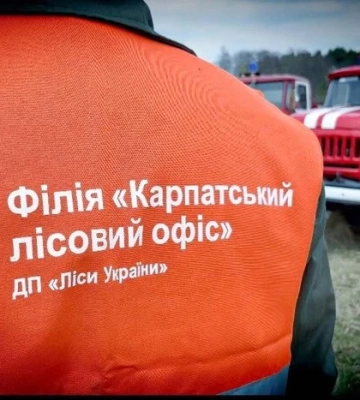 «Ліси України» вигнали з роботи 80 прибиральниць, а потім найняли їх через фірму-прокладку