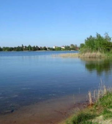 Во Львовской области после вспышки инфекции закрыли озеро Задорожное: в больницу попали 20 детей