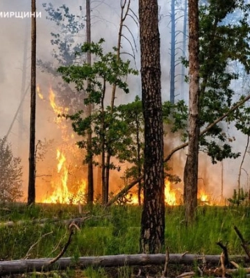 На Житомирщині ліквідували пожежу, яка тривала 4 дні