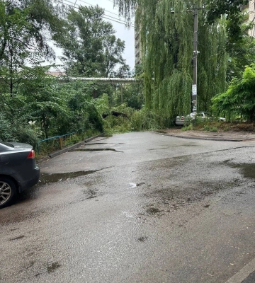 Автівки плавають і дерева падають: у Дніпрі вирує негода