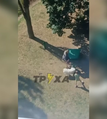 На Харківщині поліція з’ясовує обставини загибелі собаки