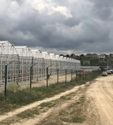 В аннексированном Крыму могла быть приостановлена работа крупнейшего тепличного производства