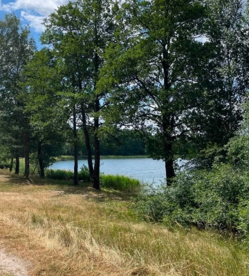Кришталево чиста вода у казковий ліс: розповіли про озеро на Волині, яке популярне серед відпочивальників та рибалок