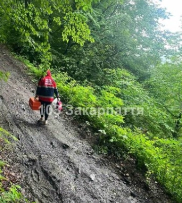 Трагедія у горах Тячівщини: медики йшли 2 км пішки, щоб врятувати збирача чорниць