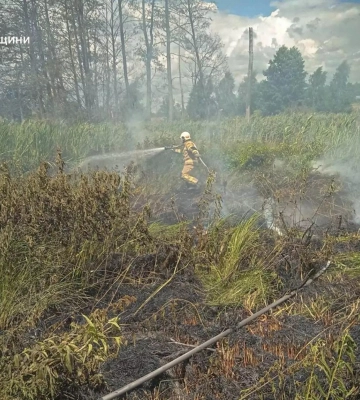 На Київщині під час пожежі сухостою постраждала людина, - ДСНС