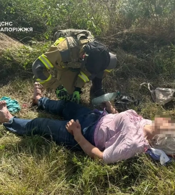 У Запорізькому районі легковик врізався в дерево: 73-річну водійку госпіталізували
