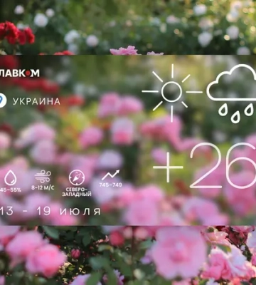Прогноз погоды на неделю 13 – 19 июля 2026 года