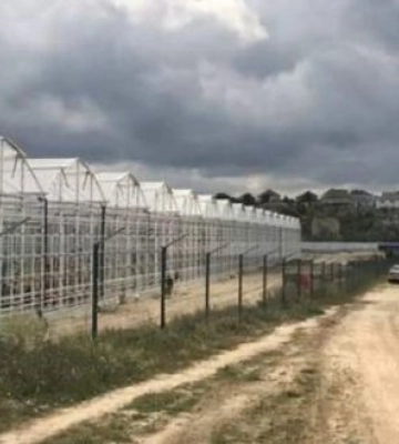 В оккупированном Крыму остановился крупнейший тепличный комбинат: более 400 человек остались без работы, - КРЦ