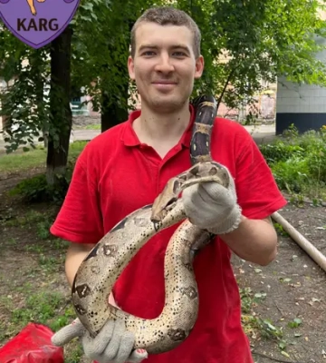 У Києві зоозахисники зняли з дерева екзотичну змію: як вона туди потрапила (відео)