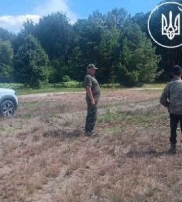 На Рівненщині виявили порушення під час заготівлі чорниці