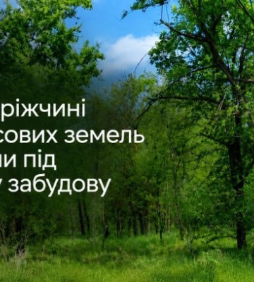 В Запорожской области 2,3 га леса незаконно передали под жилую застройку