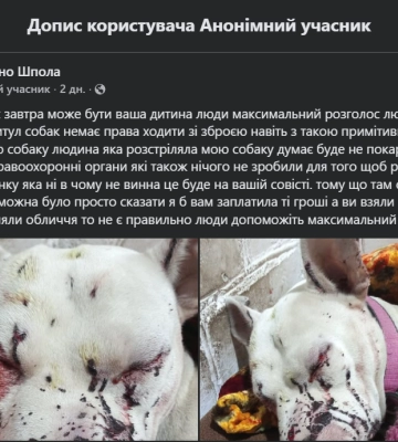 Поліцейські шукають свідків стрілянини по собаці в Шполі